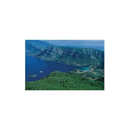 Vii *